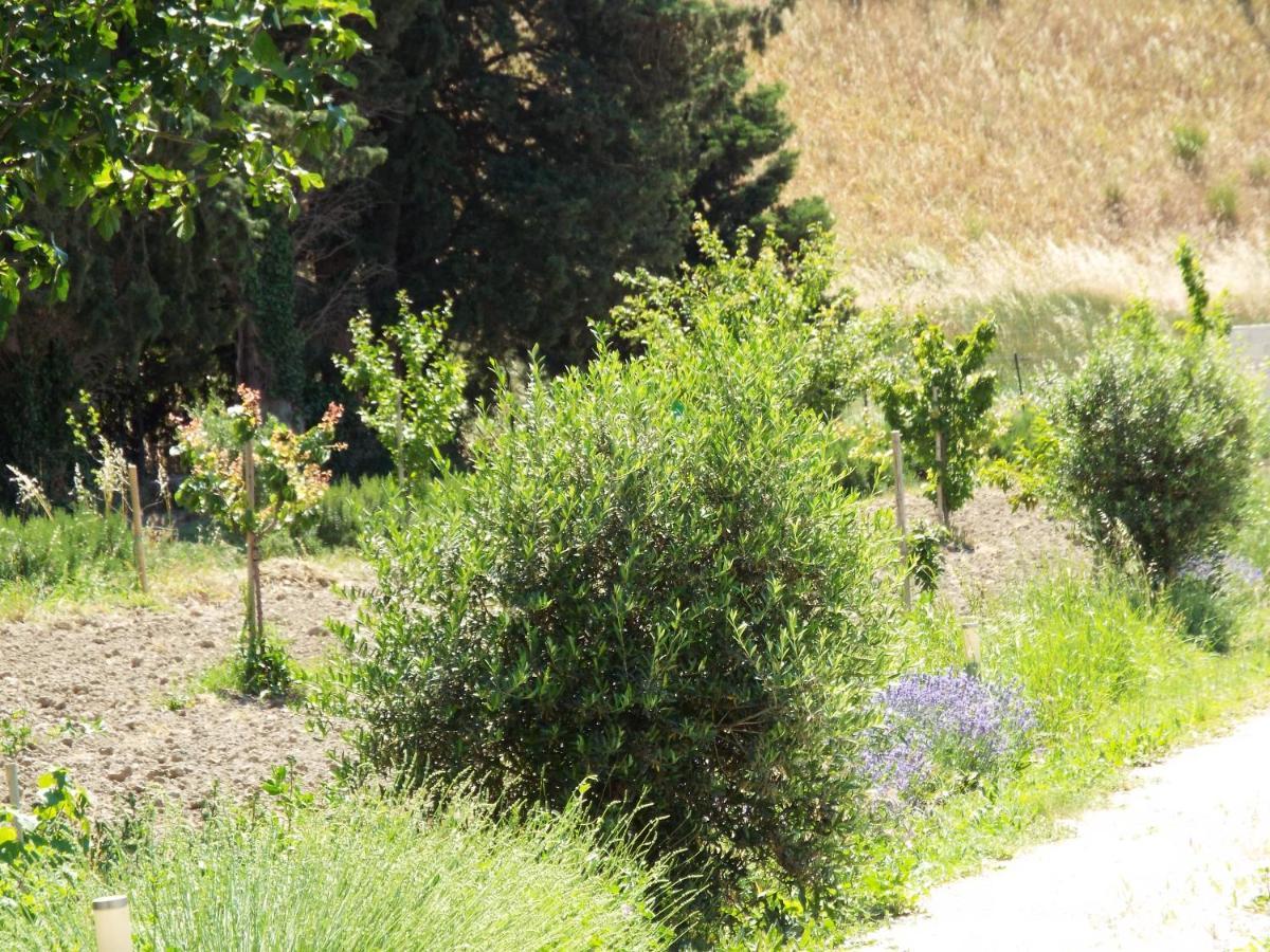 Gite De Leonie Moulin De Tartay En Avignon Luaran gambar
